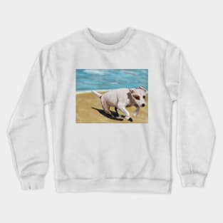 Beautiful Little White Chihuahua Running on The Beach Crewneck Sweatshirt